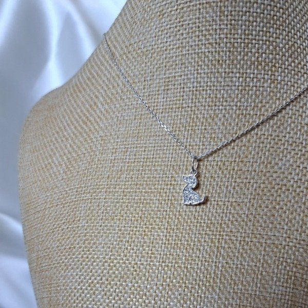 CONJUNTO PERRITO COCO