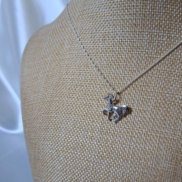CONJUNTO CABALLO