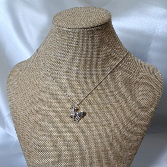 CONJUNTO CABALLO