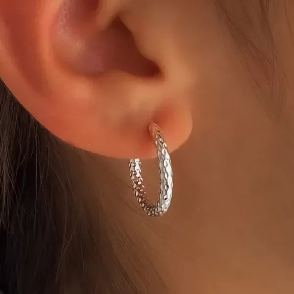 ARGOLLAS DIOR SNAKE (2.5MM-2CMD) ACERO BLANCO