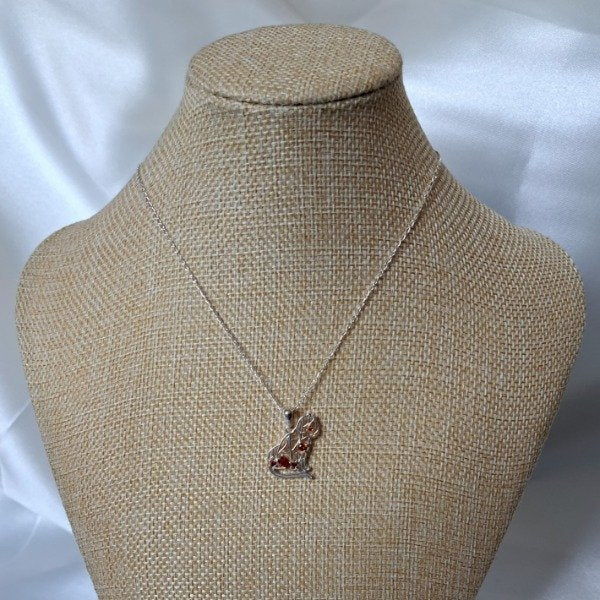 CONJUNTO GATO ASLAN ROJO