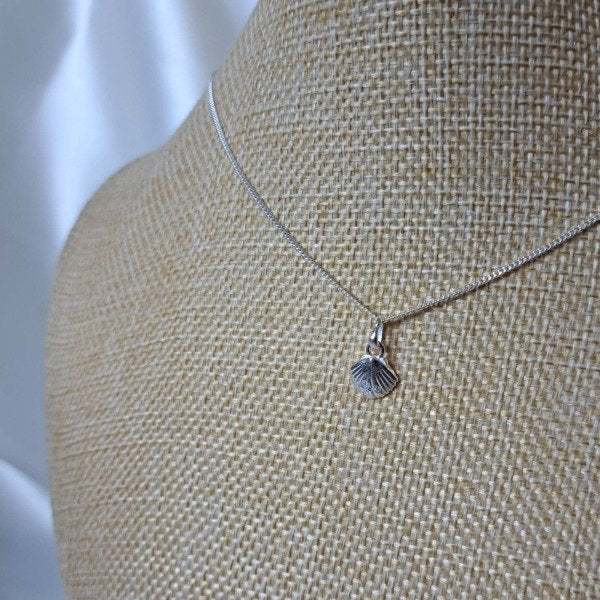 CONJUNTO ALMEJITA