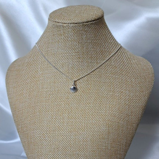 CONJUNTO ALMEJITA